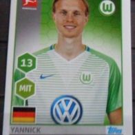 Bild 269 " Yannik Gerhardt / VfL Wolfsburg "