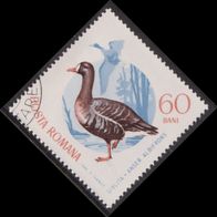 Rumänien 2435 O #053336
