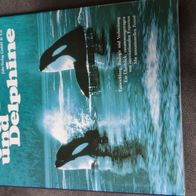 Wale und Delphine Jahr-Verlag