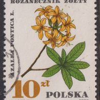 Polen  1775 O #053566