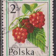 Polen  2491 O #053703