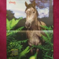 2x Poster Bild Pferdeposter Pferde 41x30cm "Wendy" Foto Zeitschrift Pferd Esel