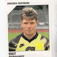 Panini Fussball 1993 Knut Reinhardt Borussia Dortmund Nr 46