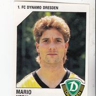 Panini Fussball 1993 Mario Kern 1. FC Dynamo Dresden Nr 73