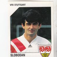 Panini Fussball 1993 Slobodan Dubajic VFB Stuttgart Nr 291