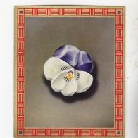 Union WHW Abzeichen Frühlingsblumen Stiefmütterchen weiß - violett 1937/38 #112