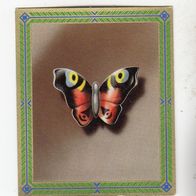Union WHW Abzeichen Schmetterling aus Porzellan Tagpfauenauge 1936 #131