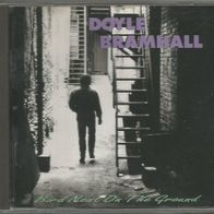 Doyle Bramhall " Bird Nest On The Ground " CD (USA 1994)