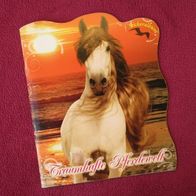 NEU: Blue Ocean Stickeralbum "Traumhafte Pferdewelt" leer Sammel Heft