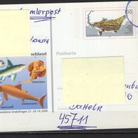 BRD / Bund 2000 Sonderpostkarte Int. Briefmarkenbörse, Sindelfingen PSo 73 gelaufen