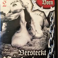 Schwarzer Dorn - Versteckt und verboten 2 - DVD