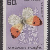 Ungarn 2202A O #055757