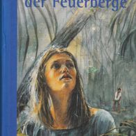 Buch - Barbara Veit - Im Schatten der Feuerberge