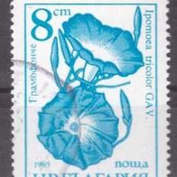 Bulgarien Michel Nr. 3489 gestempelt (2,3)