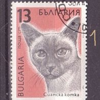 Bulgarien Michel Nr. 3813 gestempelt (1,2,3,4)