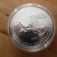 Canada 5 $ 2014 Birds of Prey - Eagle/ Adler 1 Unze Silber BU