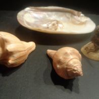 Muschel Set mit Muschel Figur