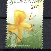 Slowenien Nr. 625 - 1 gestempelt (2207)
