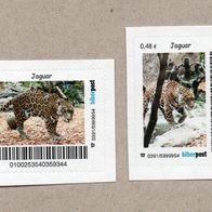 36) BRD - Privatpost biberpost - 2 Marken - Jaguar (Panthera onca)