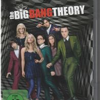 The Big Bang Theory 6. Staffel