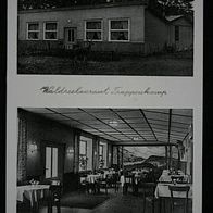 AK Trappenkamp 1959 Wald Restaurant Gasthaus Bornhöved Neumünster Segeberg !!!