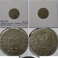 1501-1506, Kingdom of Poland (Alexander I Jagiellon)- 1 Pólgrosz, Krakov Mint