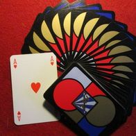Zaubertrick Fächerkarten 52 Blatt in Klarsichtetui