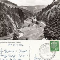 AK Wildbad im Schwarzwald - Eyachtal - s/ w von 1956