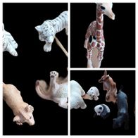 Schleich Wildtiere