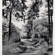 AK Friedrichsbrunn Harz - Victorshöhe s/ w unbenutzt