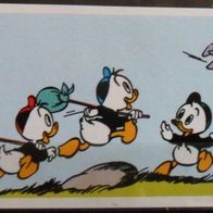 85 Jahre Donald Duck Karte Bild 47