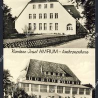 Ak Nordsee - Insel Amrum: Ambronenhaus