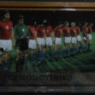Bild 528 " Europa Meister 1976 Tschechien " EM 2008 - Glitzer