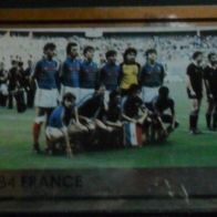 Bild 530 " Europa Meister 1984 Frankreich " EM 2008 - Glitzer