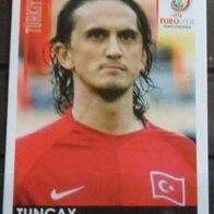Bild 144 " Tuncay Sanli " EM 2008 Türkei