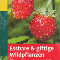 Bruno P. Kremer - Essbare & giftige Wildpflanzen: über 200 Kräuter, Beeren und Nüsse