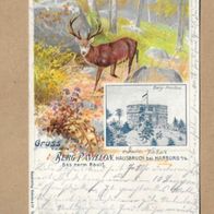 Los von 23.04 Gruißkarte aus Hausbruch bei Harburg 1908 Jagdmotiv Hirsch