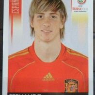 Bild 434 " Fernando Torres " EM 2008 Spanien