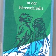 Roman von Alberta Rommel " Das Licht in der Bärenschlucht "