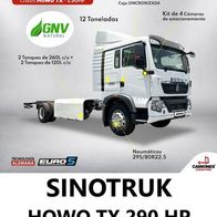 Sinotruk HOWO TX 290 HP ( Peru ) 202? , 2 Seiten