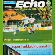 PRG SV Werder Bremen vs SG Wattenscheid 09 23. 2. 1991 Stadionheft Programm Fußball