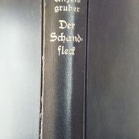 Roman von Ludwig Anzengruber " Der Schandfleck "