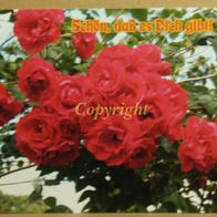 Ansichtskarte, Postkarte, Liebesgrüße, Rote Rosen