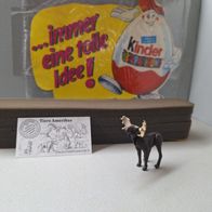 Ü - Ei Tiere Amerikas Elch + BPZ