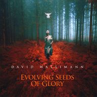 David Wallimann (Glass Hammer) - Evolving Seeds Of Glory (2016) CD M/ M