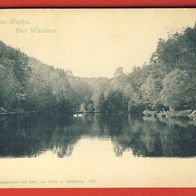 Baden Baden Der Waldsee nicht gel. (1102)