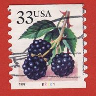USA 1999 Freimarke Früchte Brombeere Mi.3113 mit Plattennummer B 2221 gest.