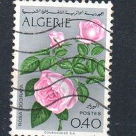 Algerien Nr. 607 - 2 gestempelt (2528)