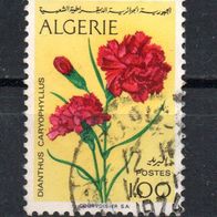 Algerien Nr. 608 gestempelt (2528)