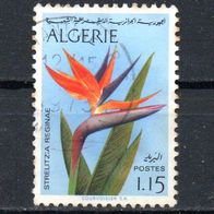 Algerien Nr. 609 - 1 gestempelt (2528)